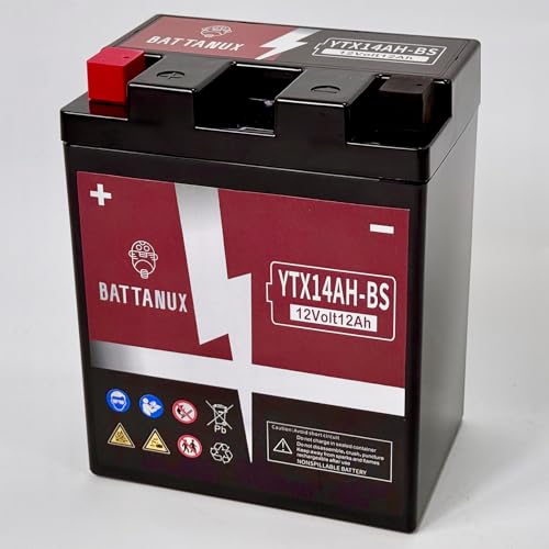 YTX14AH-BS Battery & Motorcycle Battery, Sealed SLA/AGM 12V12Ah ATV/UTV/Snowmoble/Motor bike Battery Maintenance Free & No tools