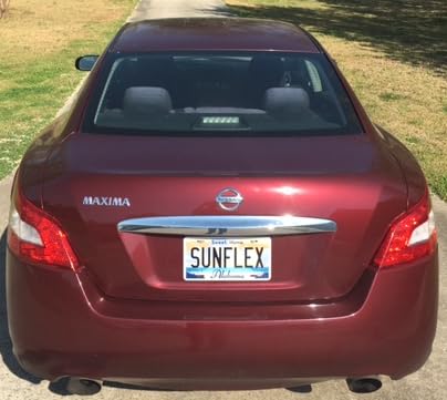 License Plate Privacy Protector Cover, Clear Reflective Waterproof Tag and Weather-Resistant Shield, Transparent Security Guard