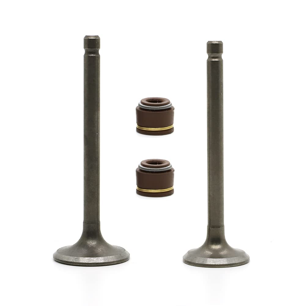 Autovic Valve Set Intake Exhaust Valves With Seals For Yamaha Atv Badger Realtree Hunter Champ Raptor Yfm80R Yfm80W Yfm100 Repla