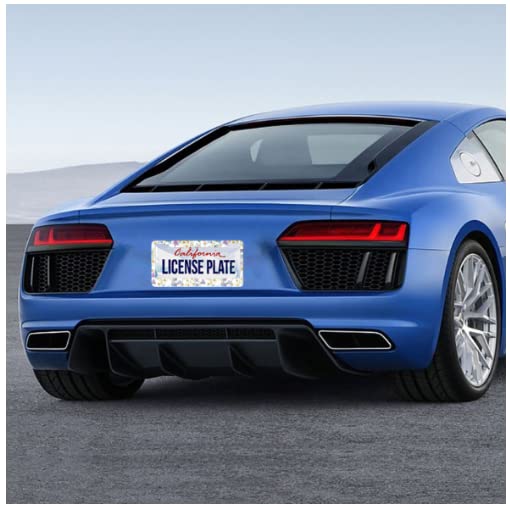 Beautiful Floral Bluebell Chamomile Flower License Plate Frame Car License Plate Stainless Steel Accessory License Plate Decor w