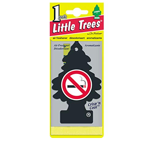 Car-Freshner Little Trees Crisp'N Cool No Smoking (Pack Of 24)