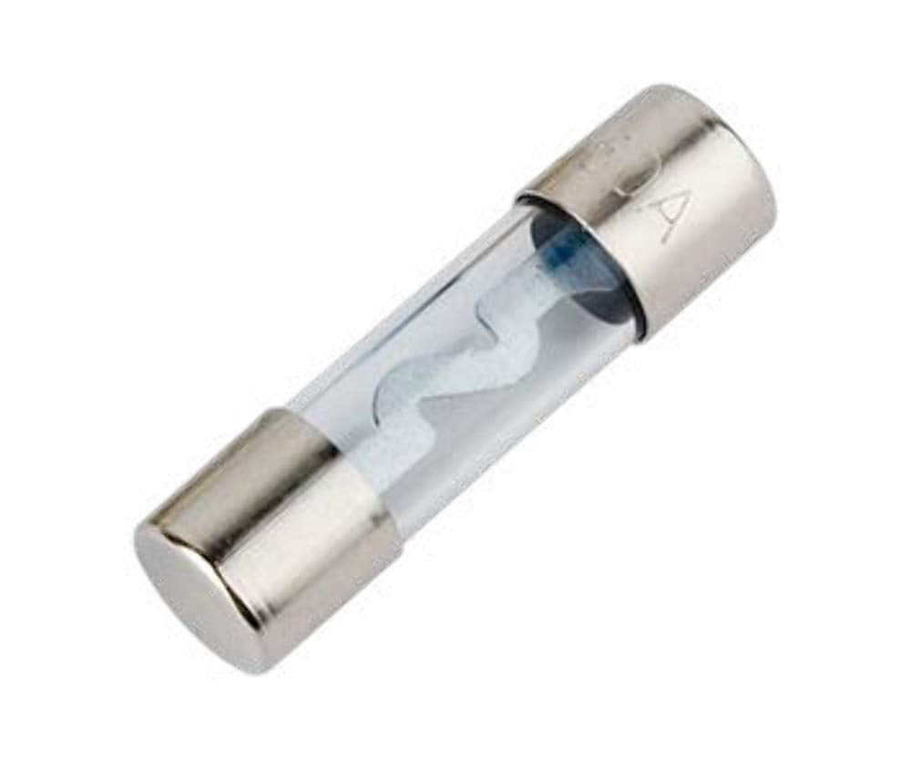 Xscorpion Agu100P Agu Fuses 100Amp 5Pk Platinum Xscorpion