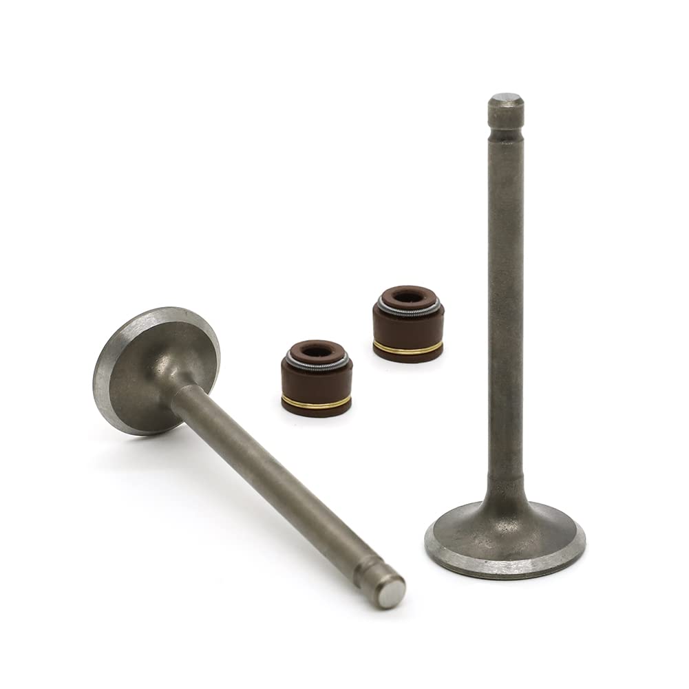 Autovic Valve Set Intake Exhaust Valves With Seals For Yamaha Atv Badger Realtree Hunter Champ Raptor Yfm80R Yfm80W Yfm100 Repla