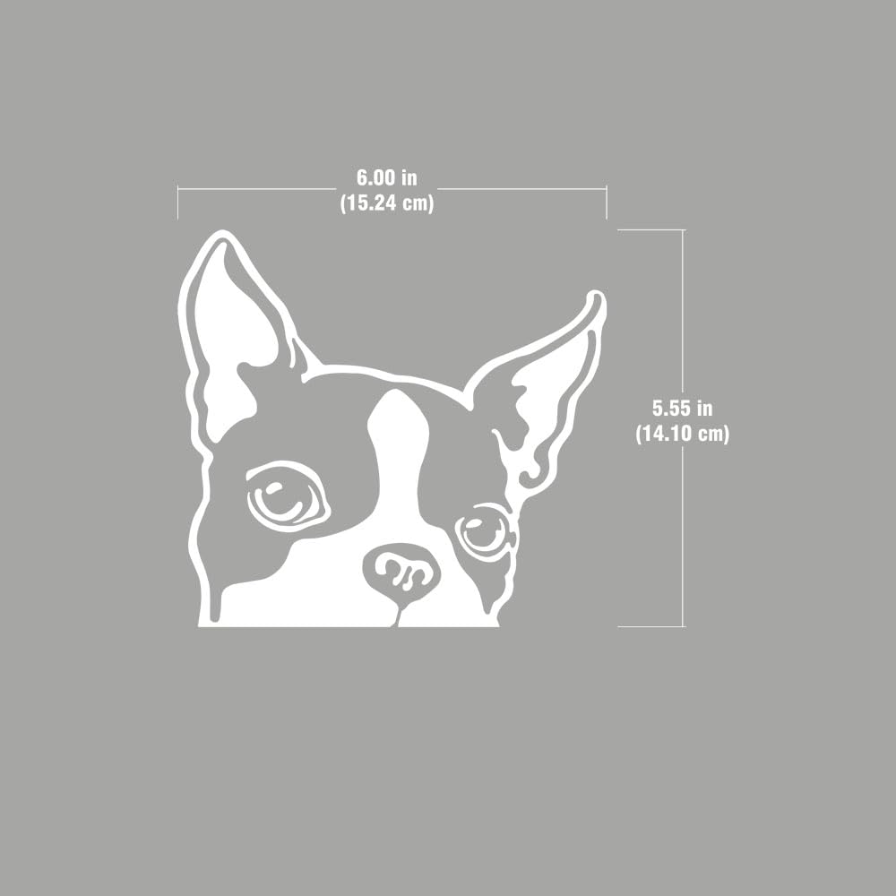 Wirester 6 Inch Clear Vinyl Decal Sticker Decoration For Car Window (Or Any Flat Surface) - Boston Terrier Dog