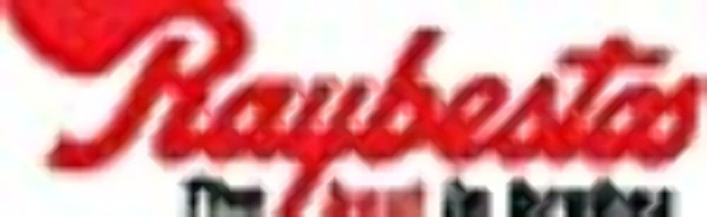 Raybestos RM Brakes EHT436A Brake Pad Set