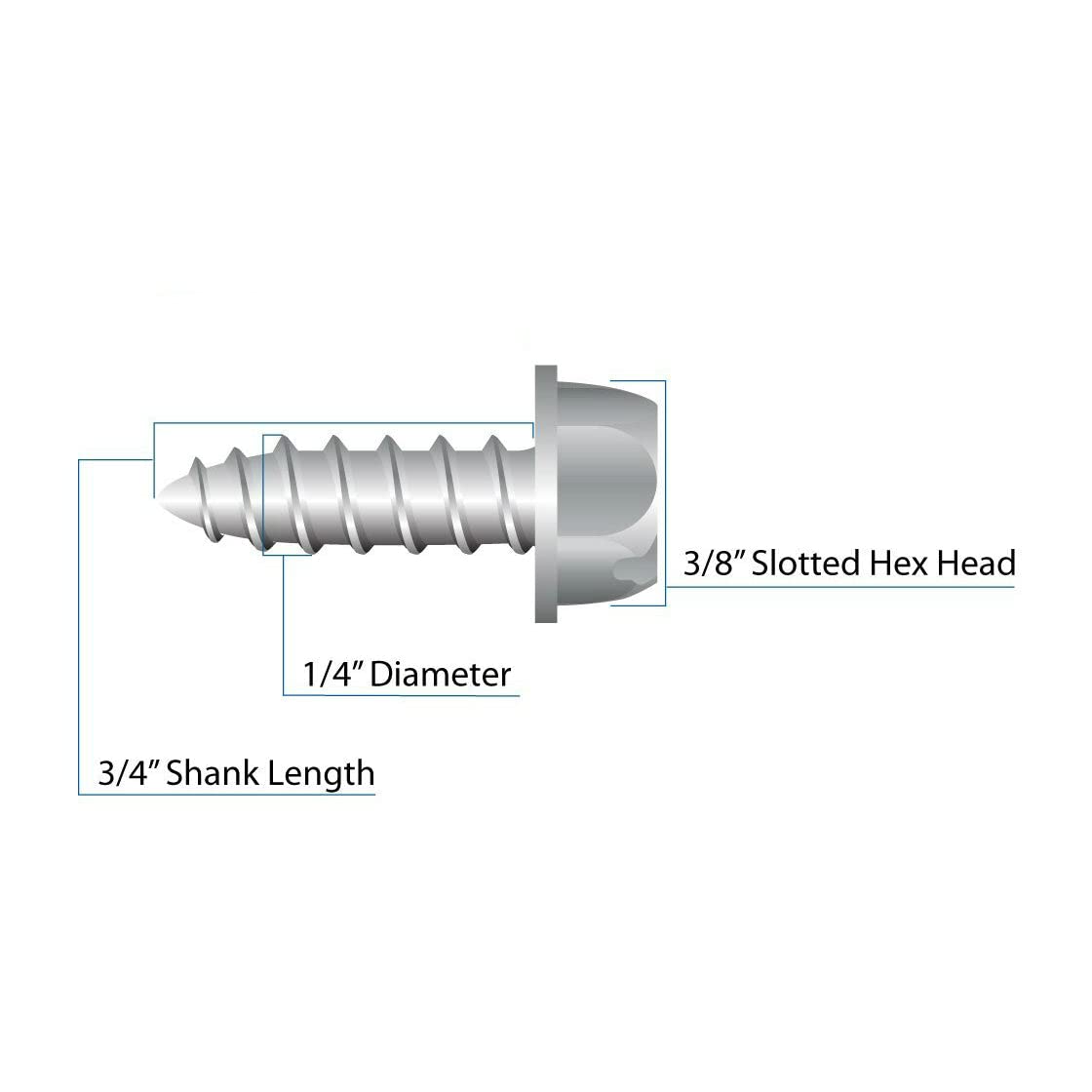 Four (4) Stainless Steel License Plate Screws (Bcp253)