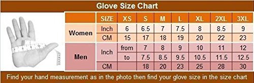 Milwaukee Motorcycle Riding Leather American Deer Skin Fingerless Gloves Very Soft Leather (S Regular)