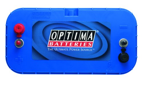OPTIMA Batteries High Performance D31M BlueTop Dual Purpose Deep Cycle and Starting Sealed AGM Boat and RV Battery, 900 CCA, Dua