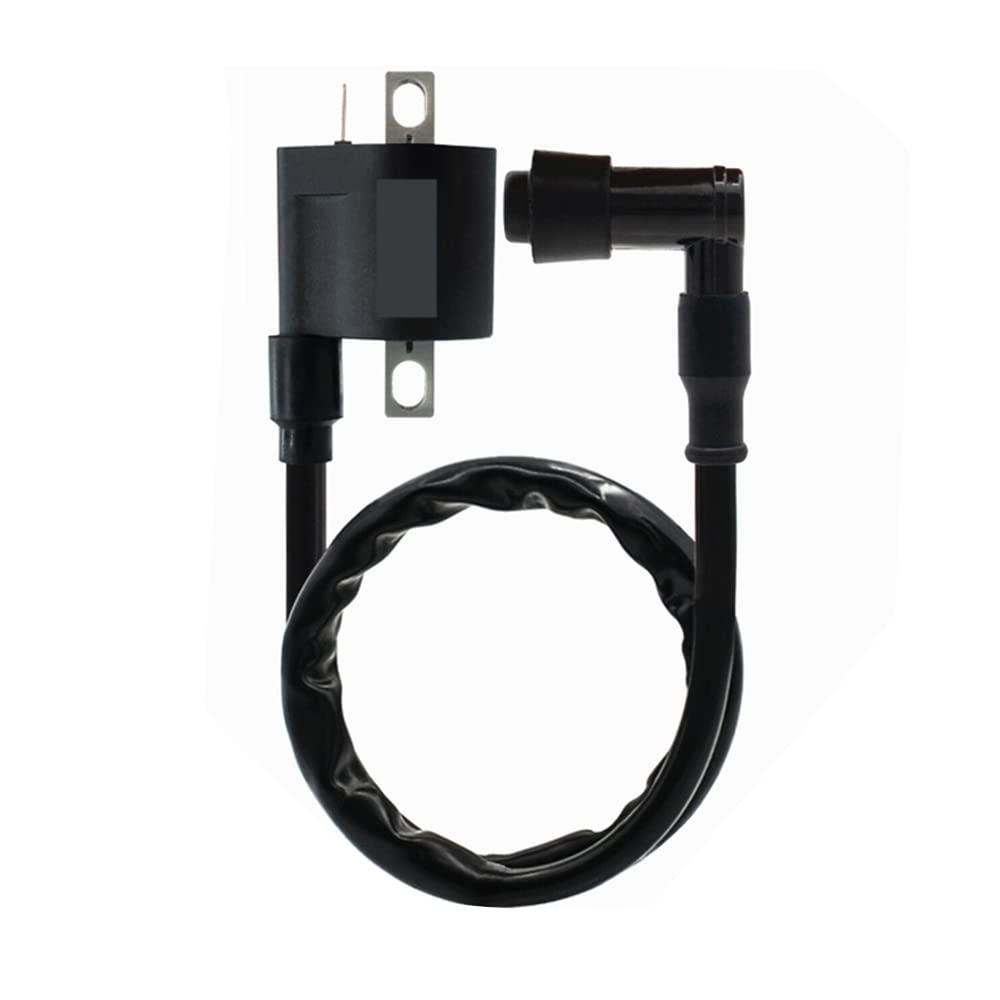 Windance High Performance Racing Ignition Coil For Yamaha Pw50 Pw80 Gy6 50Cc 125Cc 150Cc 200Cc D8Tc Taoto Motorcycle Atv Scooter Moped Go Kart