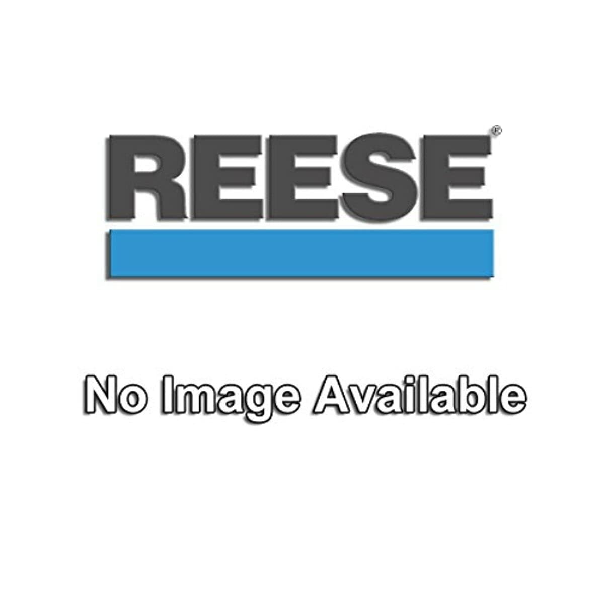 Reese 66009 Trunnion-Style Spring Bar - 1,200 Lbs. Gtw