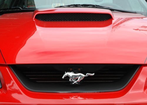 Blue Oval Industries Mustang Mach 1 Radiator Grille Delete Cover Panel, ABS Plastic, Black, Model XR3Z-8299