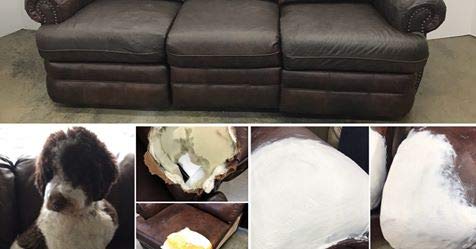 Heirloom Traditions Bond-N-Flex Vinyl & Leather Repair, 8Oz