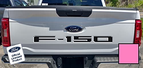 Decal Mods 2021-2024 F150 Tailgate Insert Decals Letters Inlays Indent Stickers (Thin Decal) For Ford F150 (2021-2024) (Soft Pin
