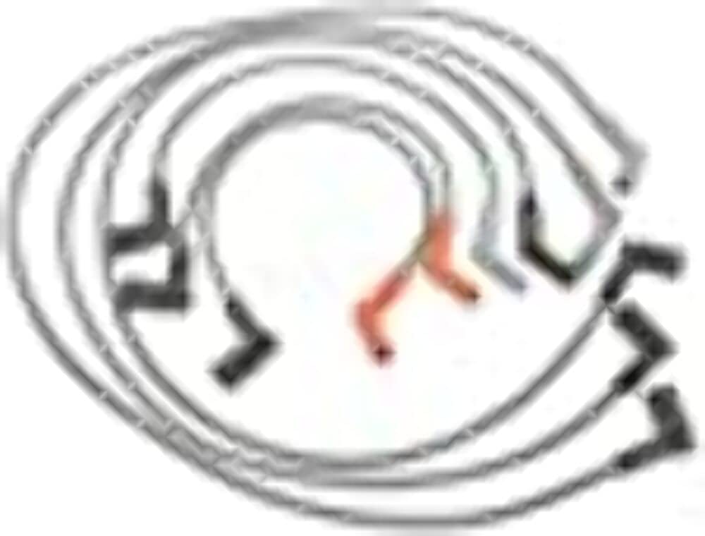 Standard Motor Products 26697 Pro Series Ignition Wire Set