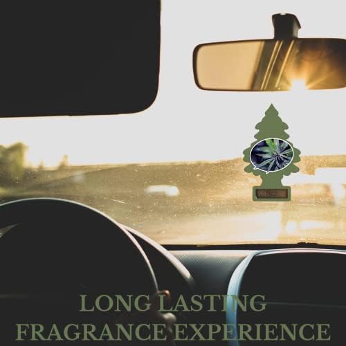 Little Trees Wild Hemp Air Freshener, Multi Color, 1 Count, Model U6P-67425