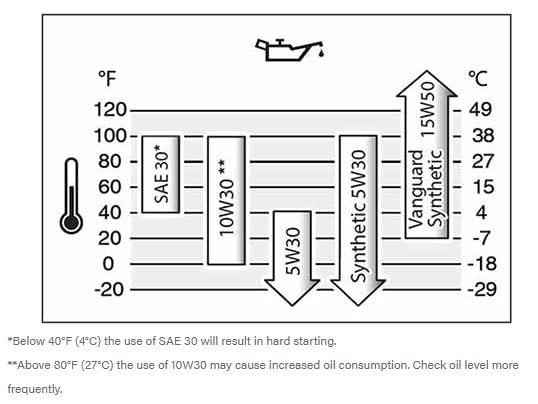Briggs and Stratton (Pack of 2) 100005 SAE 30 Engine Oil 18oz Bottle and Fuel Treatment