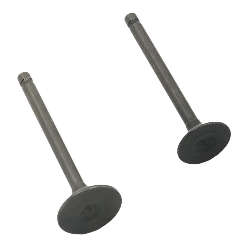 Autovic Valve Set Intake Exhaust Valves For Yamaha Atv Badger Realtree Hunter Champ Raptor Yfm80R Yfm80W Yfm100 Replace 22K-1211