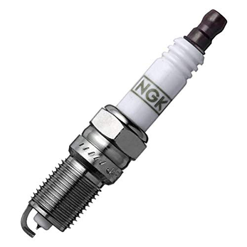 Ngk (3403) Tr55Gp Spark Plug - Pack Of 4