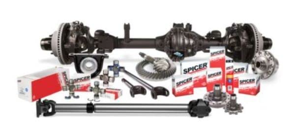Dana Spicer 10275975 Differential Carrier Bearing