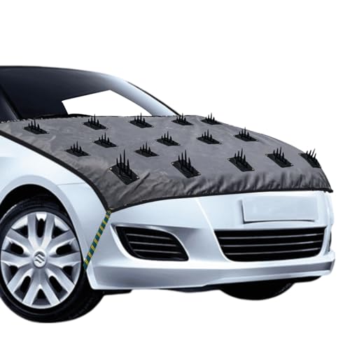 Spaiko Car Protection Cover From Dogs, Monkey & Pets With 100% Waterproof Car Cover Universal Size Dustproof, Scratchproof, Car