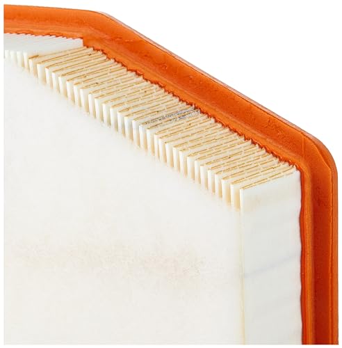 Acdelco Gm Original Equipment A3244C Air Filter