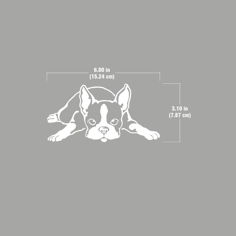 Wirester 6 Inch Clear Vinyl Decal Sticker Decoration For Car Window (Or Any Flat Surface) - Boston Terrier Dog Lying Down Lookin
