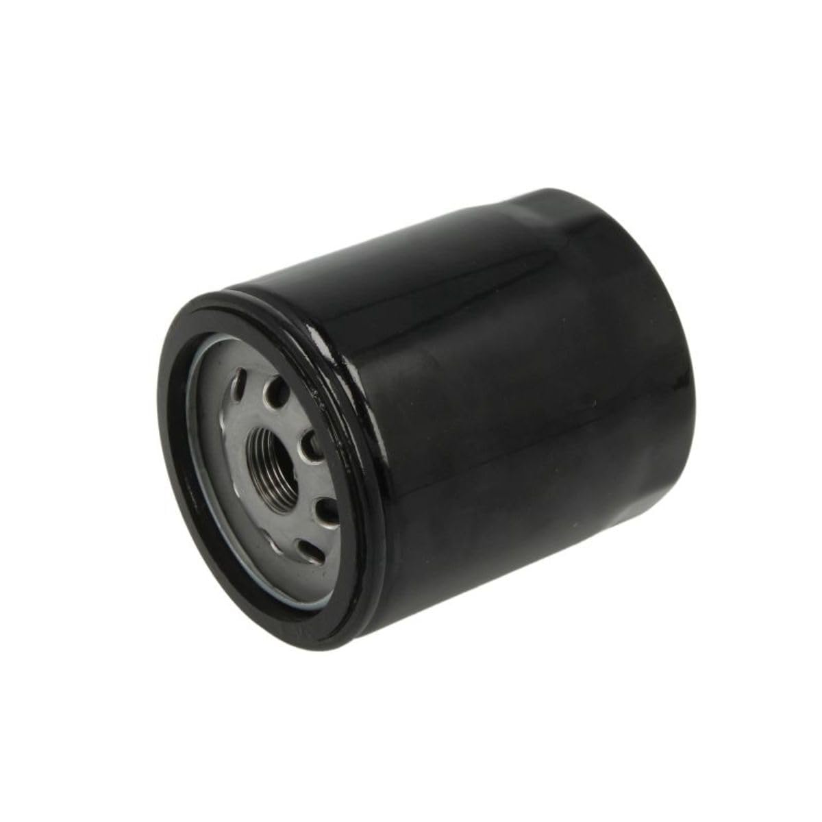 Hiflofiltro - Oil Filter (Chrome) Hf171B Pu