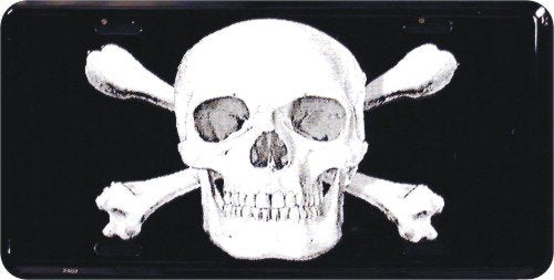 Skull Logo Metal License Plate 6 X 12