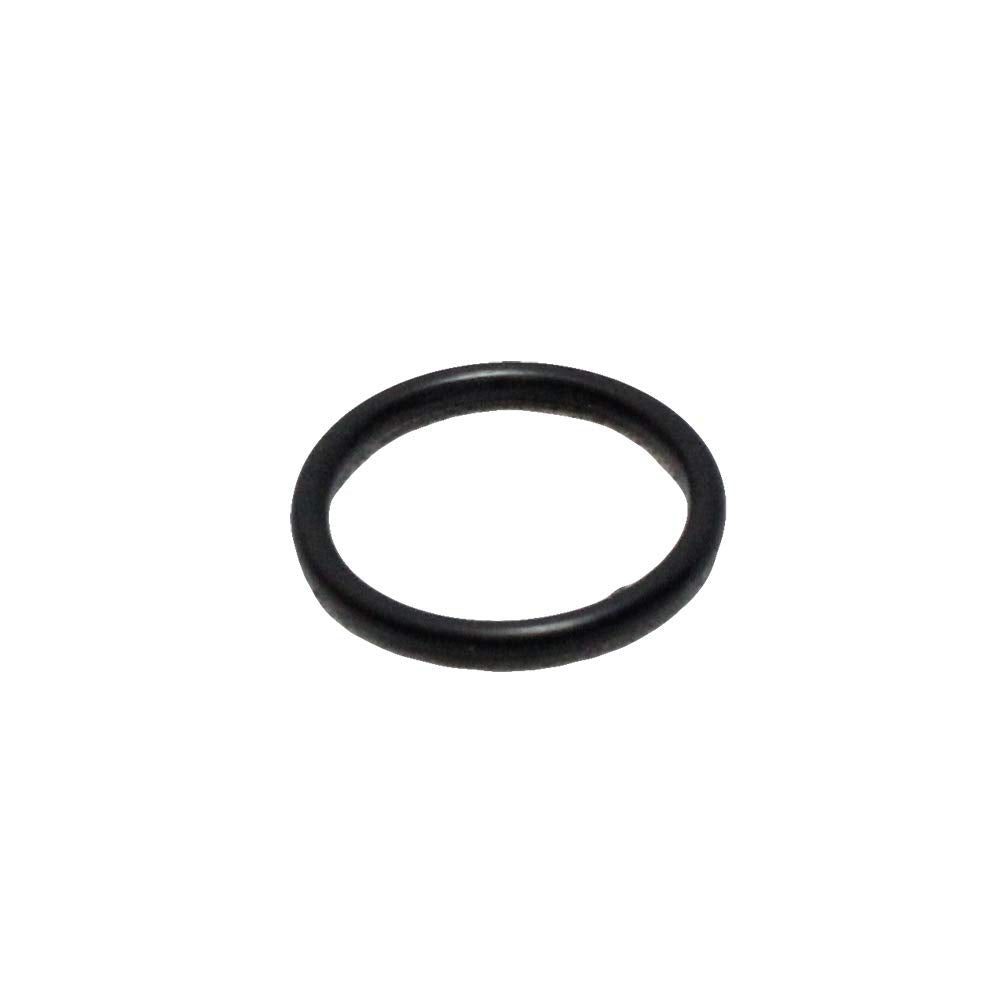 Polaris Ranger O-Ring Seal, 070 X .614, Genuine Oem Part 5812016, Qty 1