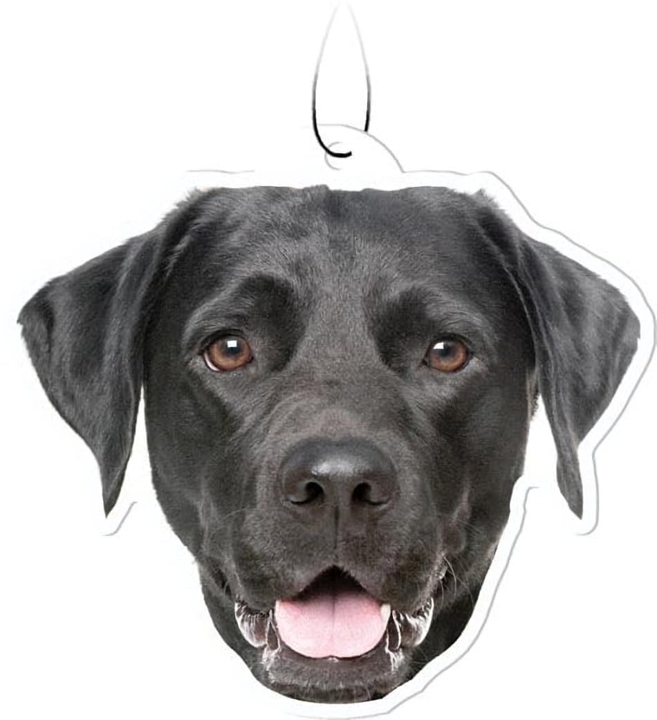 Spoontiques Black Lab Air Freshener
