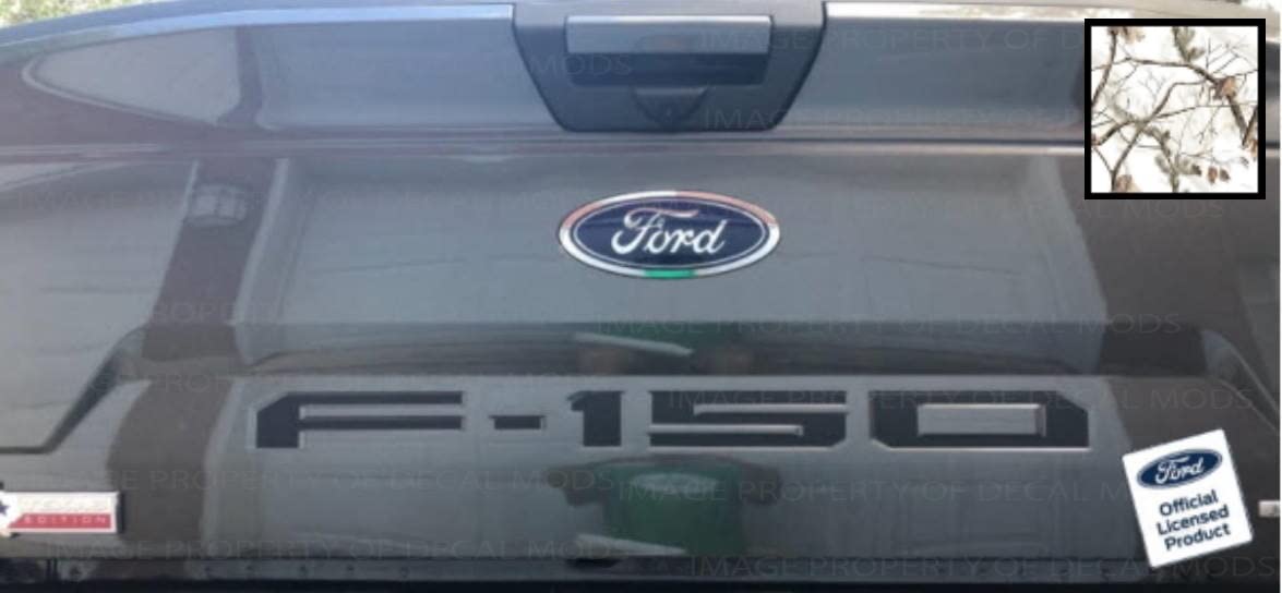 Decal Mods Tailgate Insert Decals Letters Inlays Indent Stickers (Thin) For Ford F150 (2018-2020) (Aps Snow Realtree) - Aps