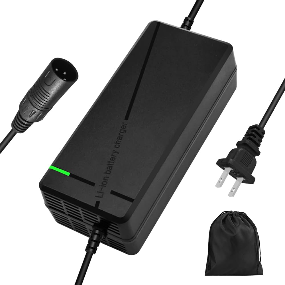 54.6V 3A / 5A Super Fast Charger for 48V Lithium Battery,No Adapter,7 Types of Plugs to Choose from,More Secure.Compatible with 