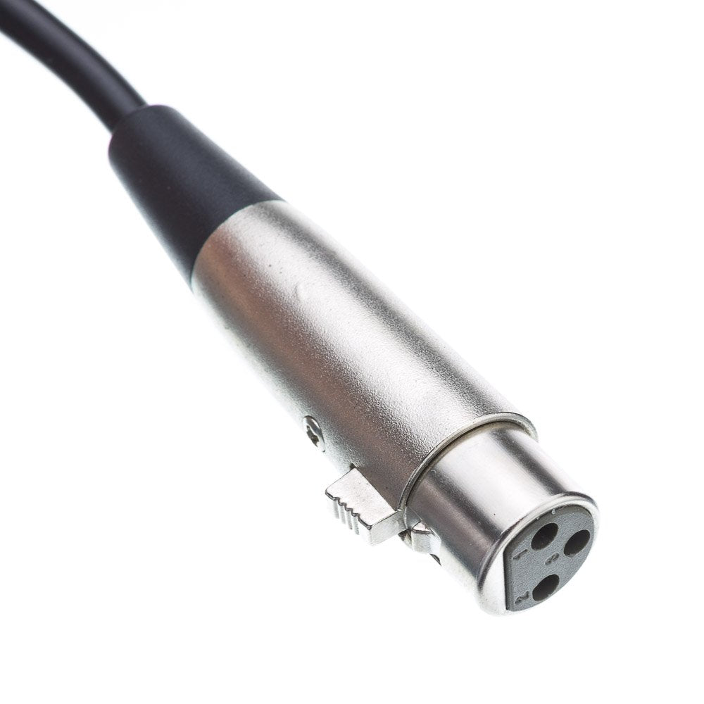 Cablewholesale 3-Pin Xlr Female To 1/4'' Trs/Stereo Male Audio Cable, 24 Awg Microphone Cable, 10 Feet