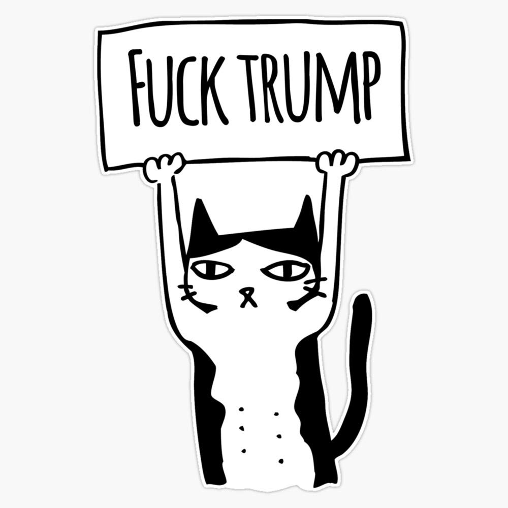 Avantaway Fuck Trump Protest Cat Sticker Decal Vinyl Bumper Sticker Decal Waterproof 5 ''