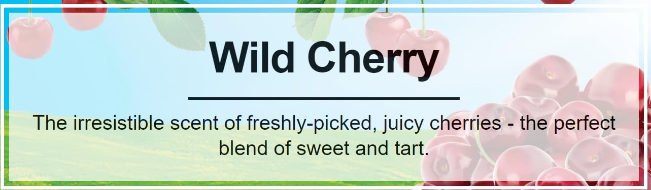 LITTLE TREES Car Air Freshener - Wild Cherry, Hanging Paper Tree, 24 Count, Red