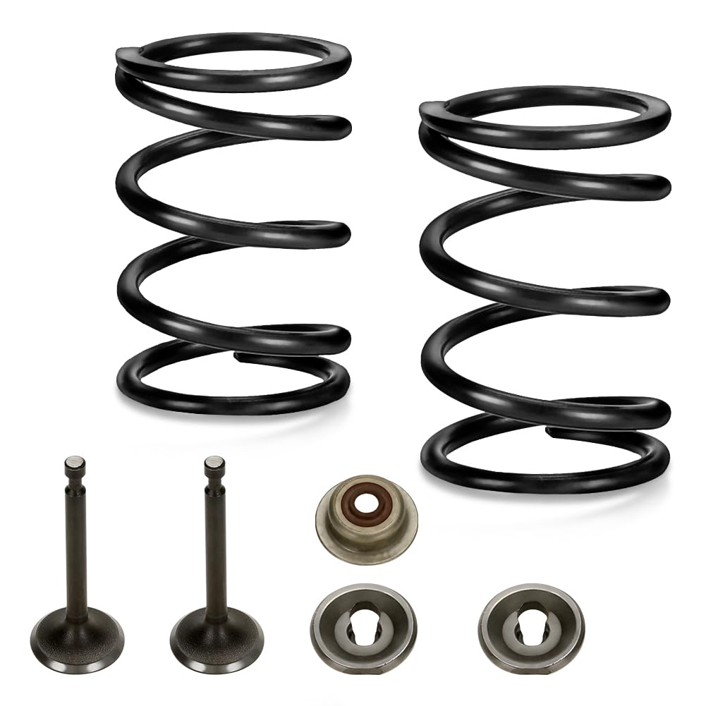 FVRITO Racing 22lb Valve Springs Retainer and Lock for Predator 196cc 212cc 224cc Non Hemi 5.5HP 6.5HP GX200 GX160 OHV Clone Eng