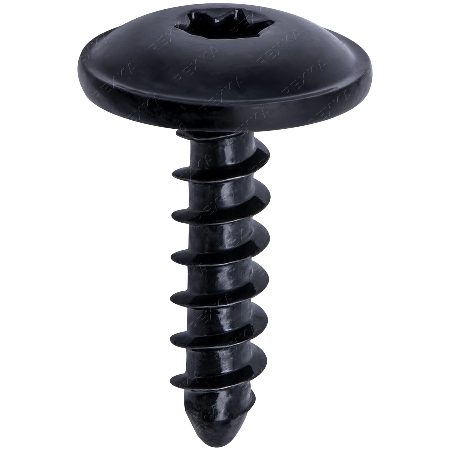 Rexka 25pcs M5-2.12 x 19mm T25 Torx Fender Liner Splash Guard Under Cover License Bracket Truss Head Tapping Screw Bolt Compatib