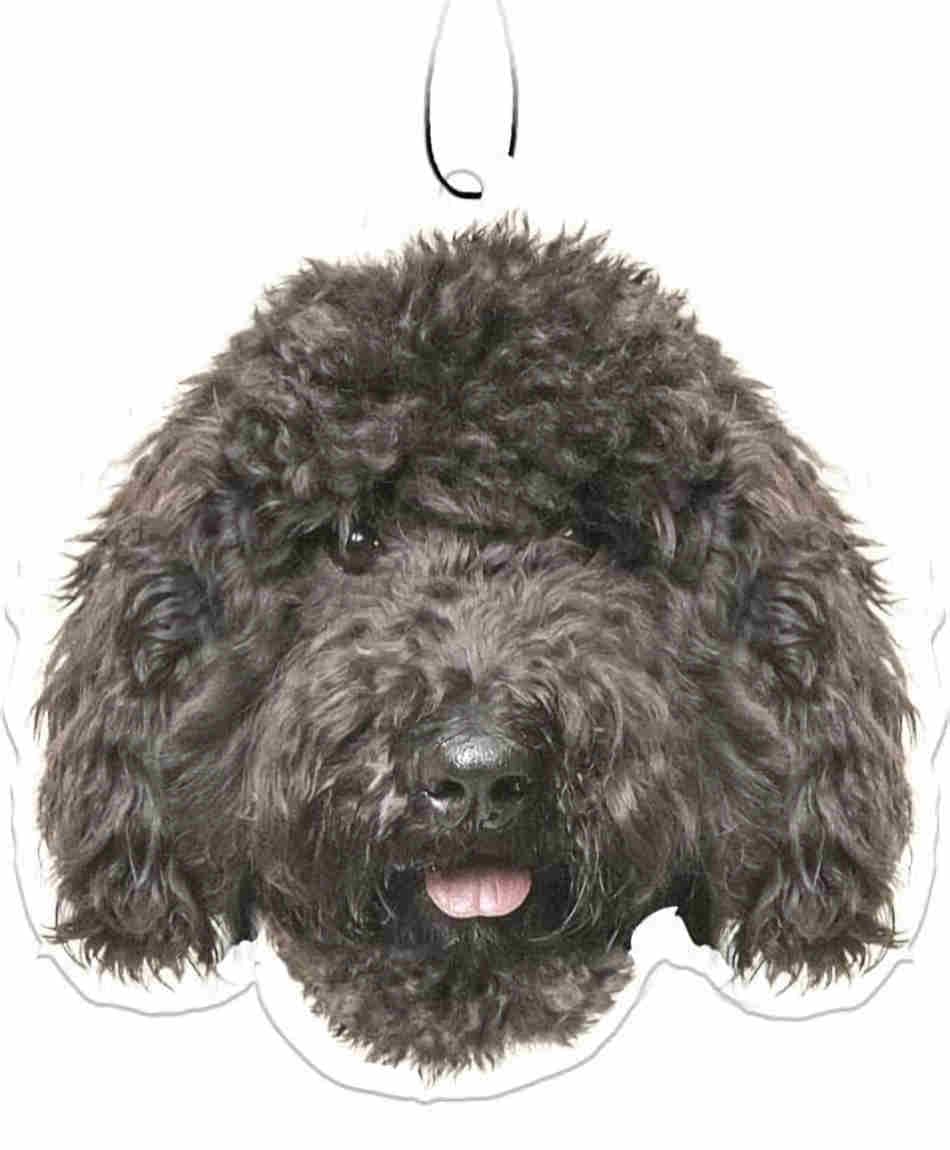 Spoontiques Black Labradoodle Air Freshener