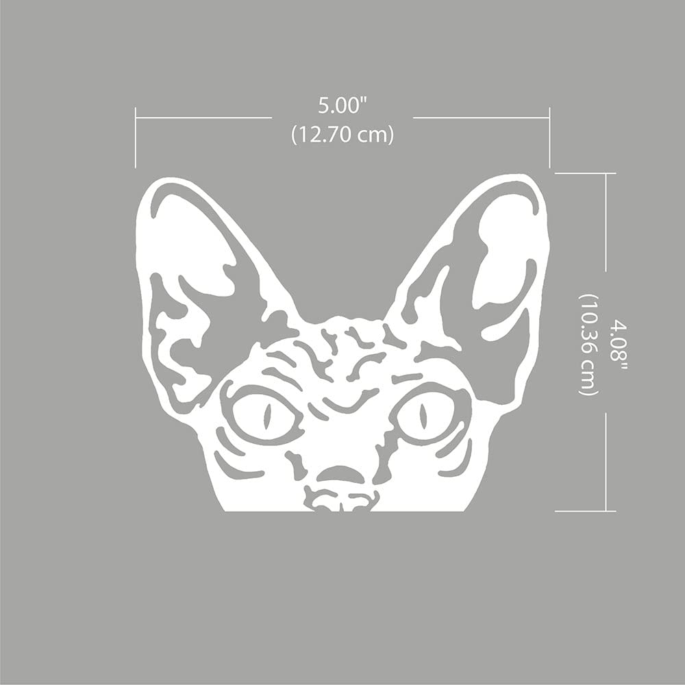 Wirester 6 Inch Clear Vinyl Decal Sticker Decoration For Car Window (Or Any Flat Surface) - Wrinkled Skin Sphynx