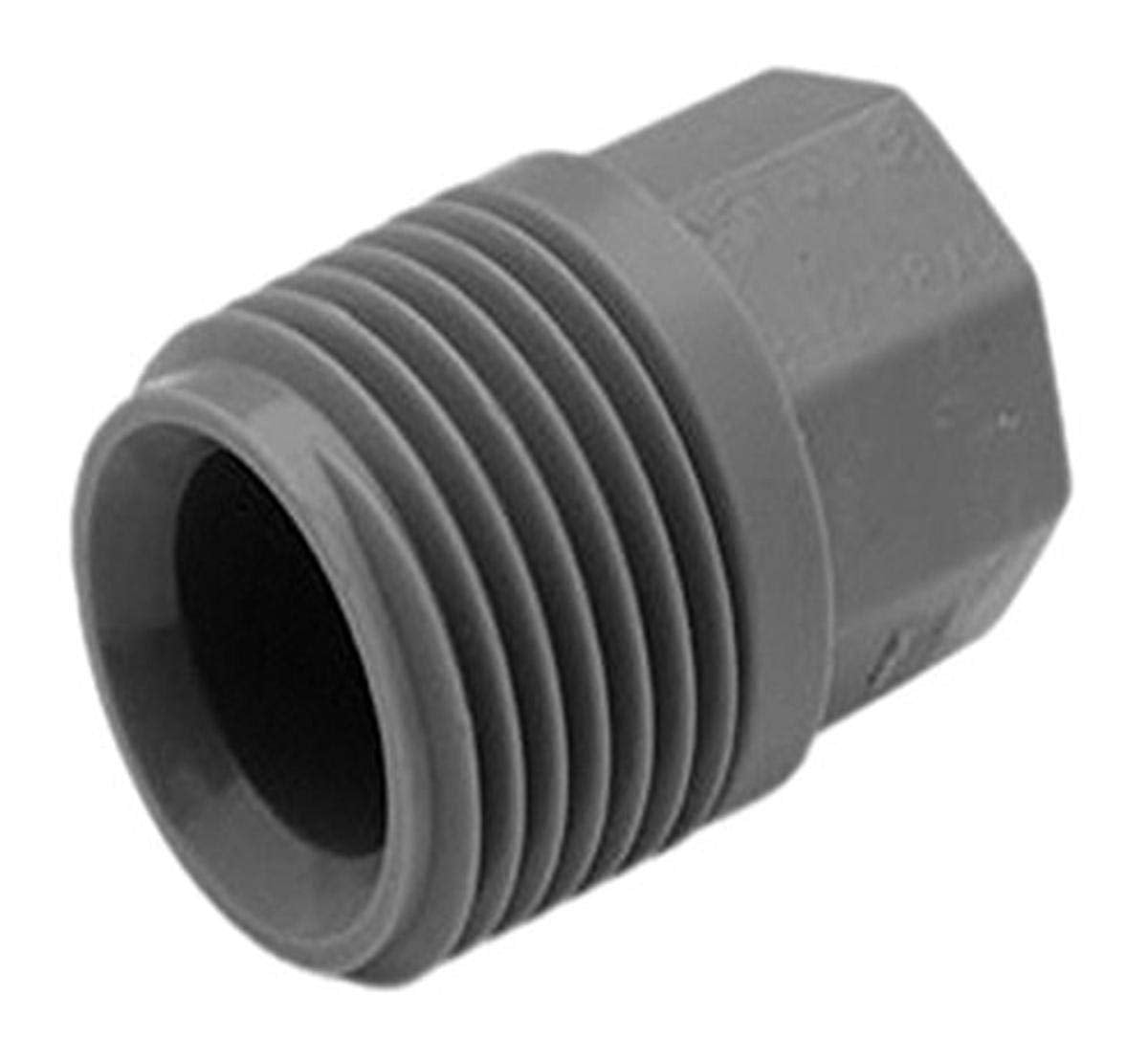 LaSalle Bristol 79SCTP4 3/4 Male Pipe Thread Test Plug
