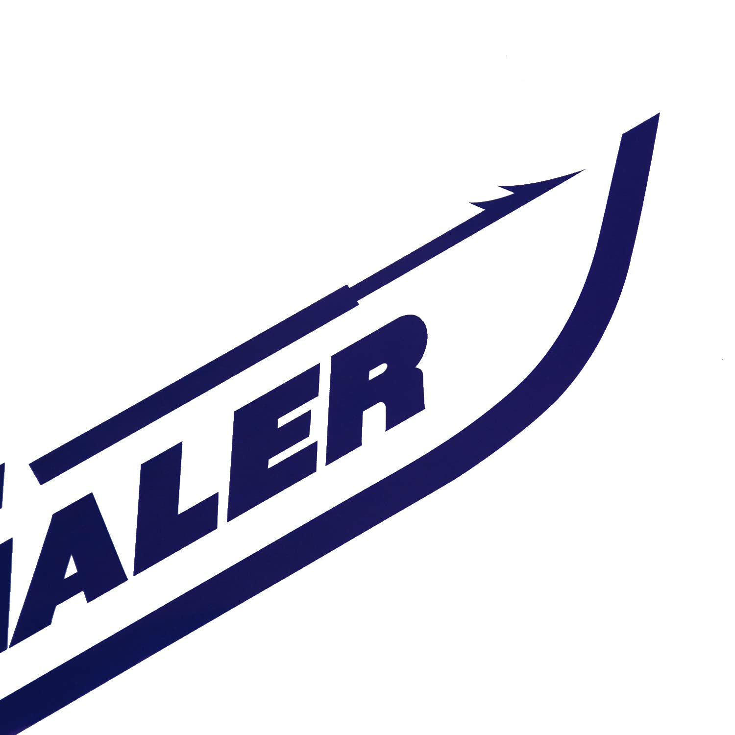 2Pc Boston Whaler Stickers Decal Boat Outboard Motor Fit for Whaler Hull Marine Grade (Blue)