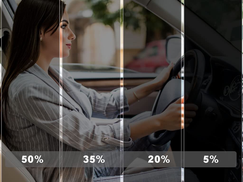 Rvinyl Window Tint Kit Compatible with Dodge Ram 1994-2001 - Complete Precut Kit - 5%