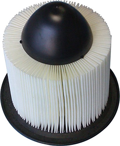 Bosch 5283Ws Workshop Engine Air Filter - Compatible With Select Ford E-150, E-250, E-350, E-450, Excursion, Expedition, F-150,