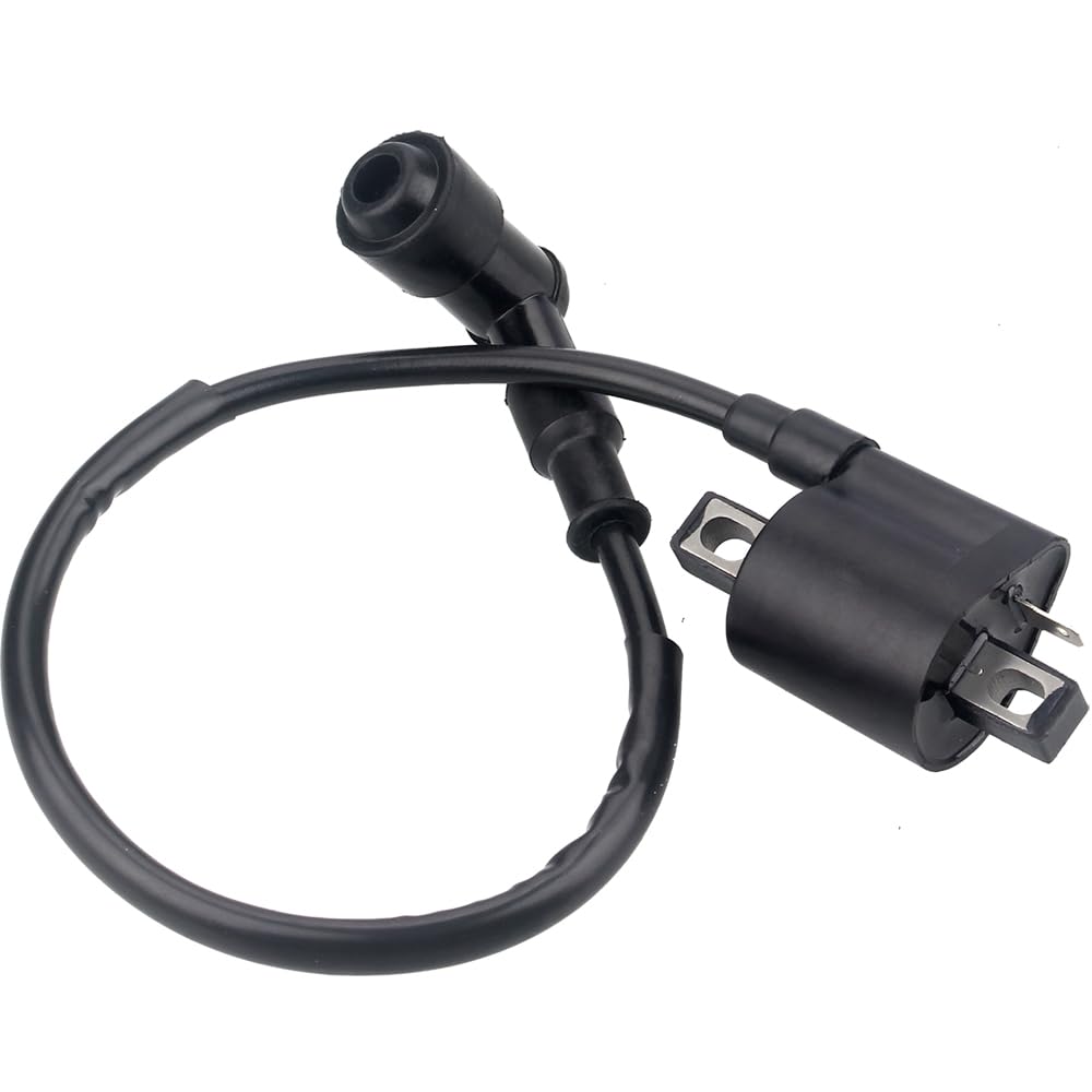 Ignition Coil For 50Cc 90Cc 110Cc 125Cc 150Cc 200Cc 250Cc Atv Quad Dirt Pit Bike Scooter Buggy Motorcycle Go Kart