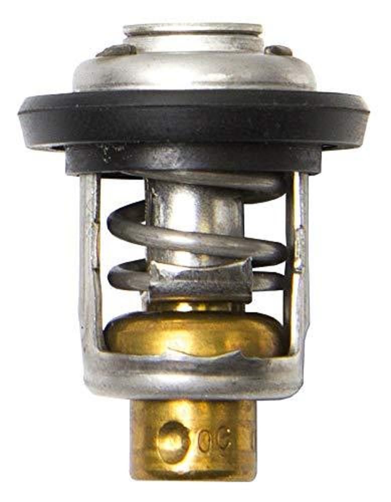 Sierra International, 18-3541, Thermostat , white
