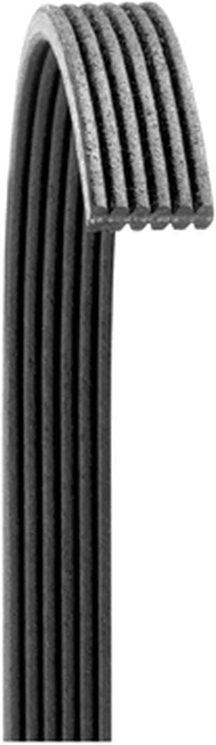 Dayco 6081255 Poly Rib Serpentine Belt