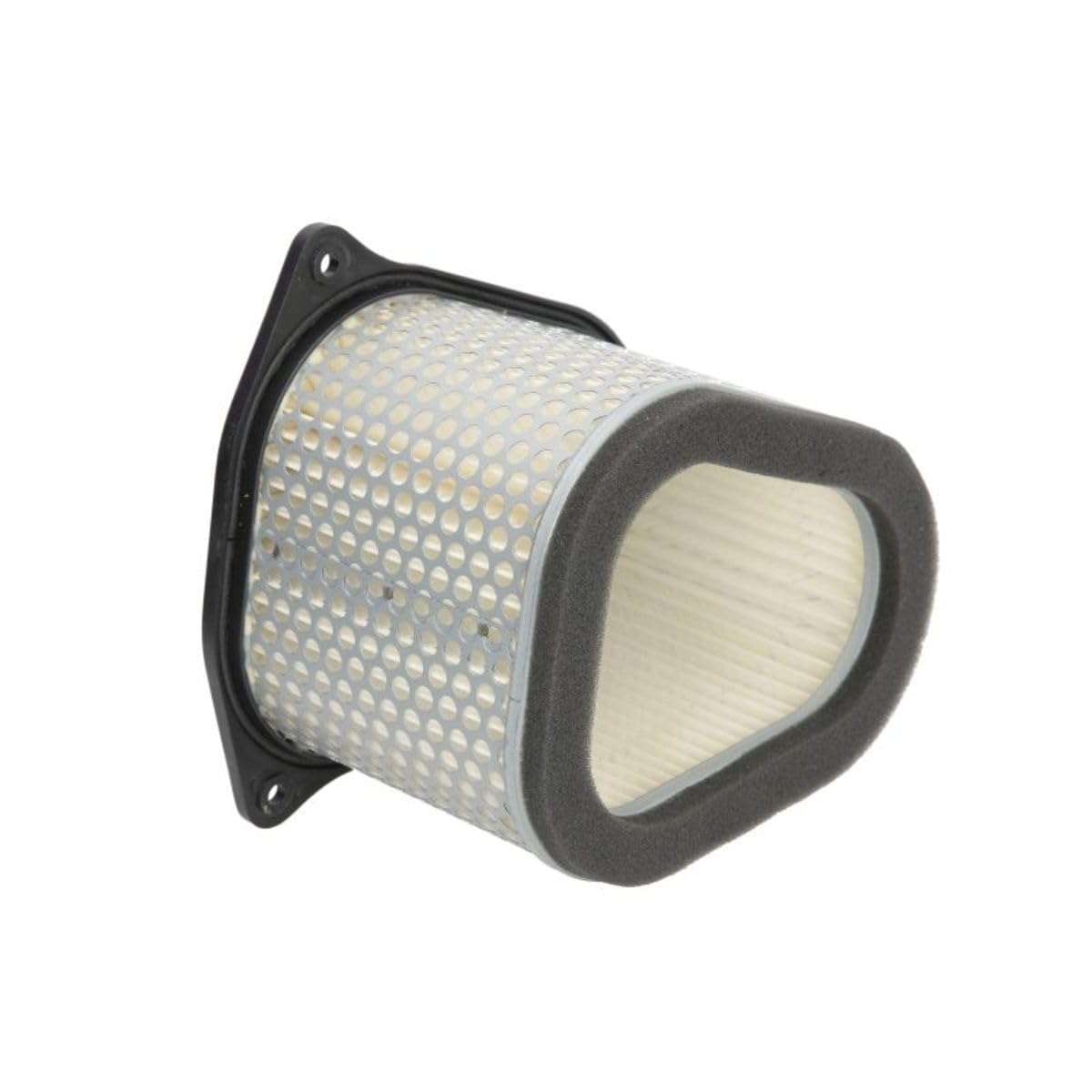 Hiflofiltro Hfa3906 Premium Oe Replacement Air Filter, Regular