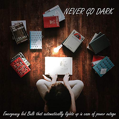 Laborate Lighting Rechargeable Led Light Bulbs With Battery Backup, Emergency Led Bulb, Pack Of 6, Led 60 Watt Bulb