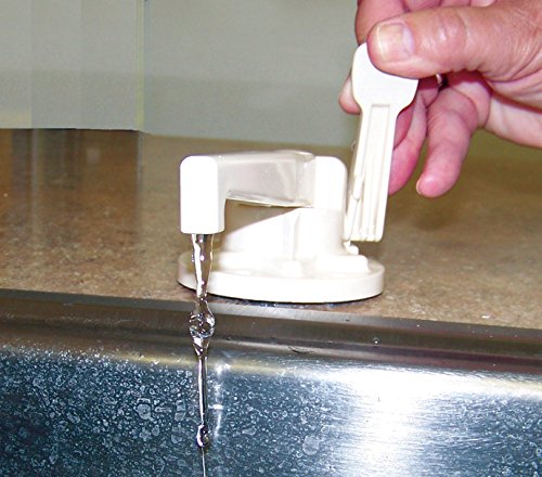 Zebra Rv (R3700-Polar White Combo Water Pump