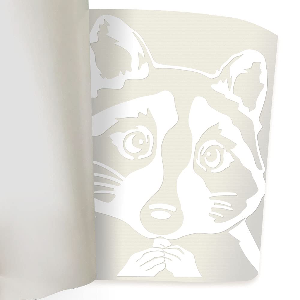 Wirester 6 Inch Clear Vinyl Decal Sticker Decoration For Car Window (Or Any Flat Surface) - Common Raccoon